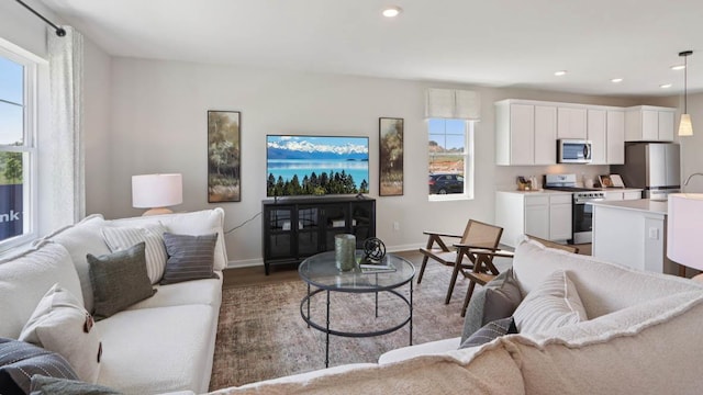 505 Oak Opening Dr, Stoughton, WI 53589 - living room featuring wood finished floors and recessed lighting