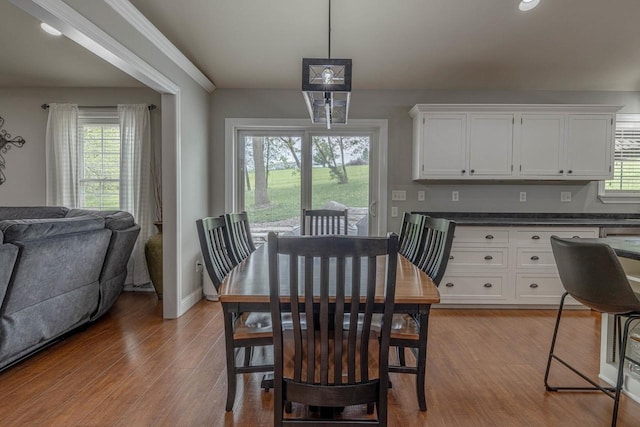 220 Grove St, Ridgeway, WI 53582 - dining space featuring healthy amount of natural light, wood finished floors, baseboards, and recessed lighting