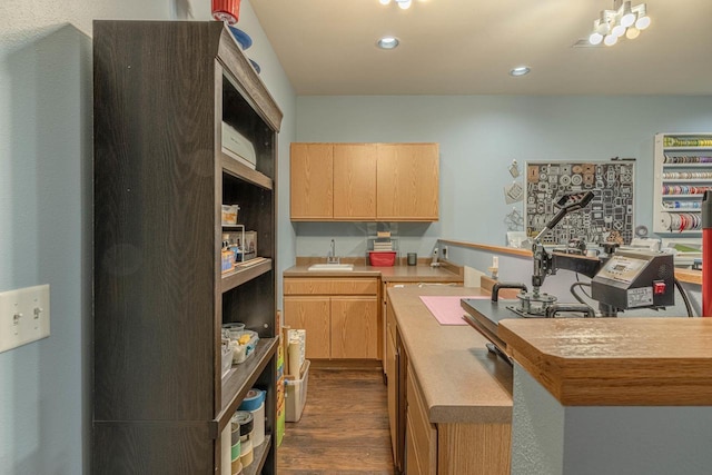 220 Grove St, Ridgeway, WI 53582 - kitchen with light brown cabinets, a sink, dark wood-type flooring, recessed lighting, and light countertops