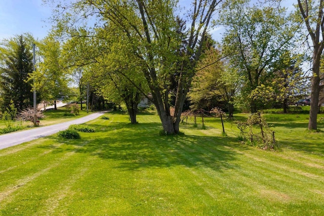 2901 W Forest Hill Ave, Franklin, WI 53132 - view of green lawn