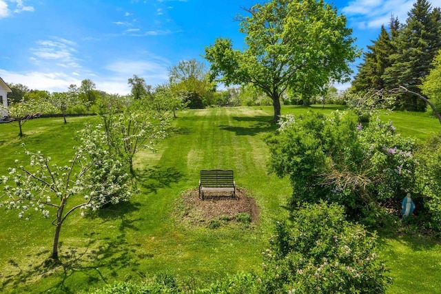 2901 W Forest Hill Ave, Franklin, WI 53132 - view of green lawn