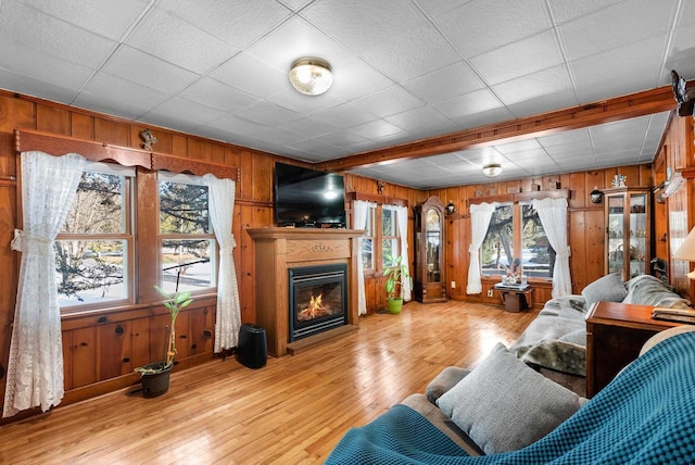 2901 W Forest Hill Ave, Franklin, WI 53132 - living room featuring wooden walls, healthy amount of natural light, a glass covered fireplace, and hardwood / wood-style floors