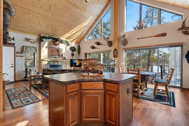W6554 Wolf Lake Rd, Wausaukee, WI 54177 - kitchen with high vaulted ceiling, dark countertops, wood ceiling, light wood-style floors, and a fireplace