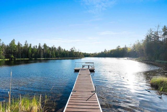 W6554 Wolf Lake Rd, Wausaukee, WI 54177 - dock with a water view and a forest view