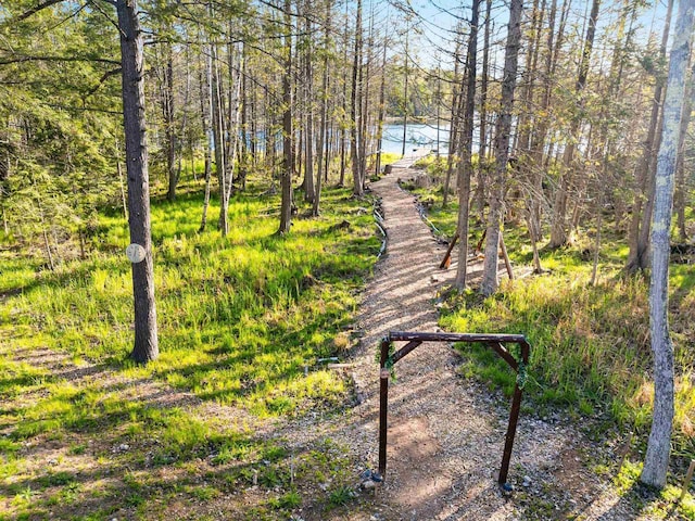 W6554 Wolf Lake Rd, Wausaukee, WI 54177 - view of surrounding community