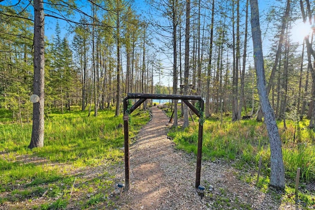 W6554 Wolf Lake Rd, Wausaukee, WI 54177 - view of community