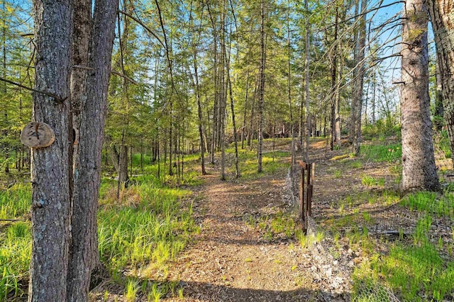 W6554 Wolf Lake Rd, Wausaukee, WI 54177 - view of nature