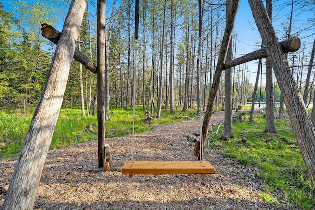W6554 Wolf Lake Rd, Wausaukee, WI 54177 - view of yard