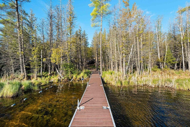 W6554 Wolf Lake Rd, Wausaukee, WI 54177 - view of dock