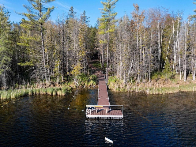 W6554 Wolf Lake Rd, Wausaukee, WI 54177 - view of dock area