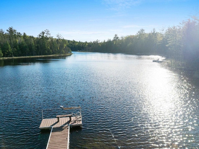 W6554 Wolf Lake Rd, Wausaukee, WI 54177 - dock area with a water view and a forest view