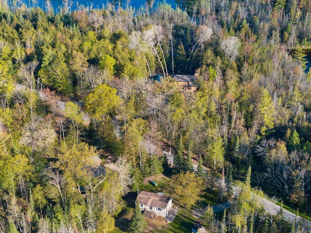 W6554 Wolf Lake Rd, Wausaukee, WI 54177 - drone / aerial view of a forest