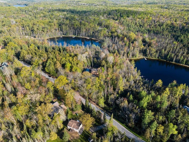 W6554 Wolf Lake Rd, Wausaukee, WI 54177 - aerial overview of property's location featuring a forest and a large body of water