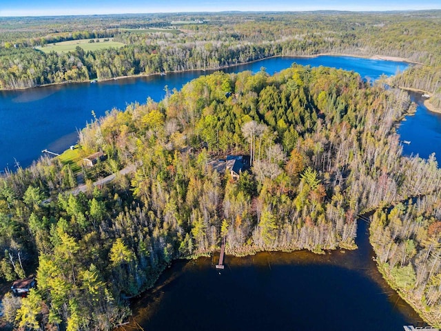 W6554 Wolf Lake Rd, Wausaukee, WI 54177 - view of property location featuring a heavily wooded area and a nearby body of water