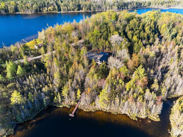 W6554 Wolf Lake Rd, Wausaukee, WI 54177 - aerial view of a forest and a nearby body of water