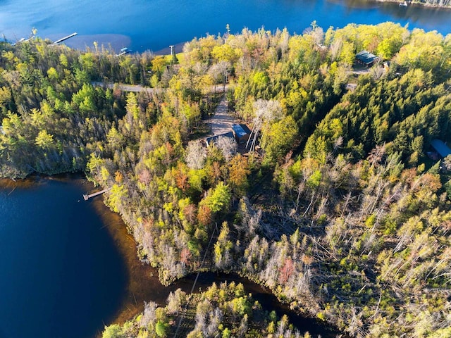 W6554 Wolf Lake Rd, Wausaukee, WI 54177 - drone / aerial view of a large body of water