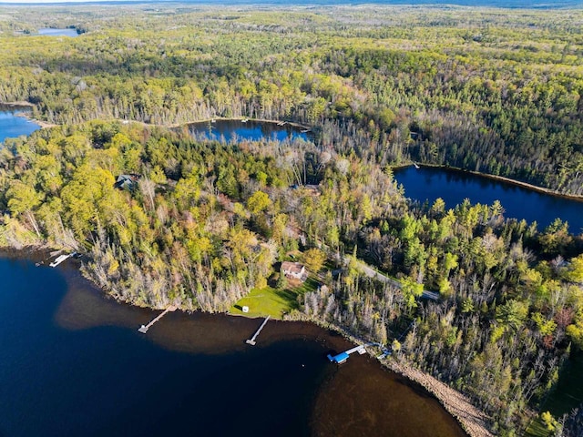 W6554 Wolf Lake Rd, Wausaukee, WI 54177 - aerial view of property and surrounding area with a forest and a nearby body of water