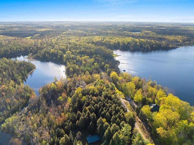 W6554 Wolf Lake Rd, Wausaukee, WI 54177 - aerial view of a forest and a nearby body of water
