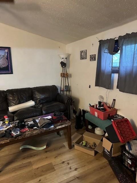 218 Meade Ave, Black River Falls, WI 54615 - living area with wood finished floors, a textured ceiling, and vaulted ceiling