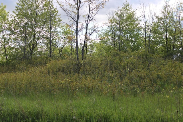 LT3 Woodland Dr, Campbellsport, WI 53010