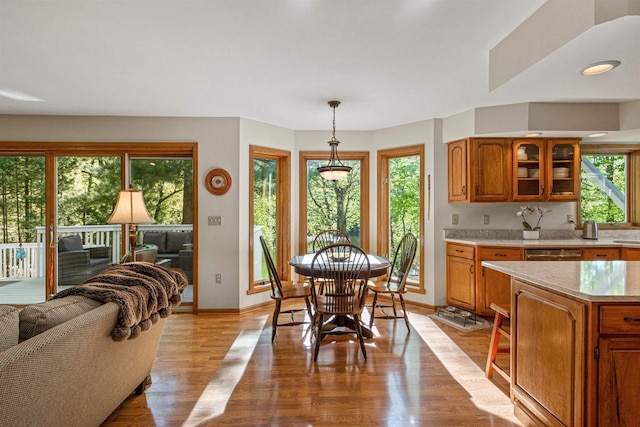 N1124 County Rd E, Waupaca, WI 54981 - dining space featuring plenty of natural light, baseboards, and light wood-type flooring