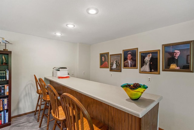 N1124 County Rd E, Waupaca, WI 54981 - indoor dry bar with baseboards, carpet, and recessed lighting