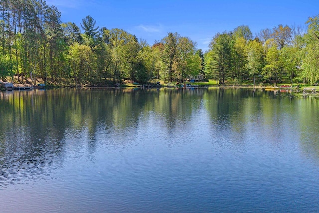 N1124 County Rd E, Waupaca, WI 54981 - water view
