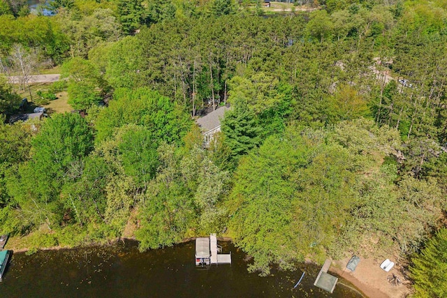 N1124 County Rd E, Waupaca, WI 54981 - aerial view of a heavily wooded area and a large body of water