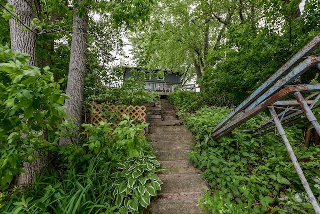 3218 Aalseth Ln, Stoughton, WI 53589 - view of yard featuring stairs