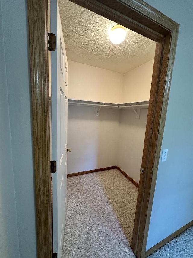 433 Eberlein Ct, Mauston, WI 53948 - walk in closet featuring carpet flooring
