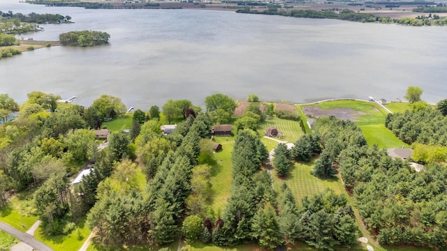 10029 W Spring Rd, Fox Lake, WI 53933 - bird's eye view of a nearby body of water