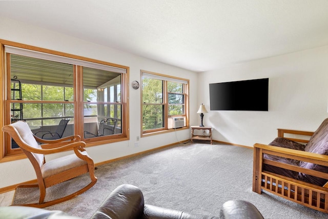 10029 W Spring Rd, Fox Lake, WI 53933 - living area featuring baseboards, carpet floors, and cooling unit
