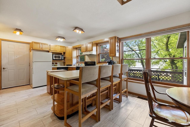 10029 W Spring Rd, Fox Lake, WI 53933 - kitchen with freestanding refrigerator, stainless steel microwave, under cabinet range hood, black / electric stove, and light countertops