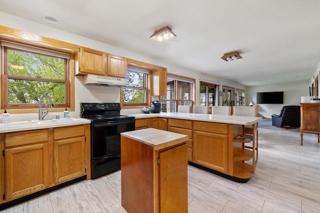 10029 W Spring Rd, Fox Lake, WI 53933 - kitchen featuring black / electric stove, under cabinet range hood, a peninsula, a sink, and light countertops