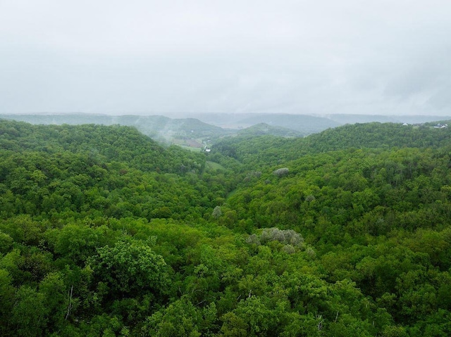 W4936 Battlestone Station Rd, La Crosse, WI 54601 - view of mountain backdrop with a heavily wooded area