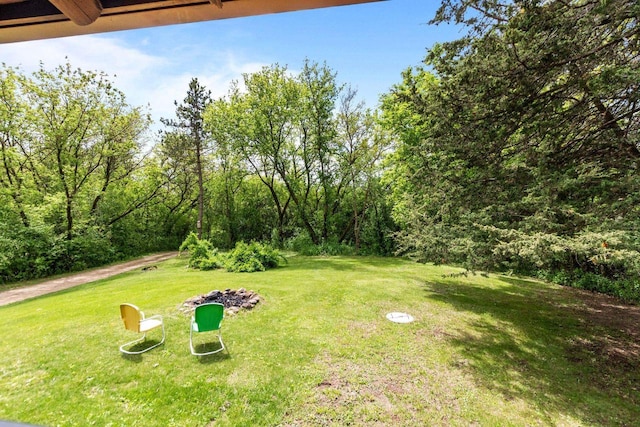 W3276 Princeton Rd, Green Lake, WI 54941 - view of green lawn