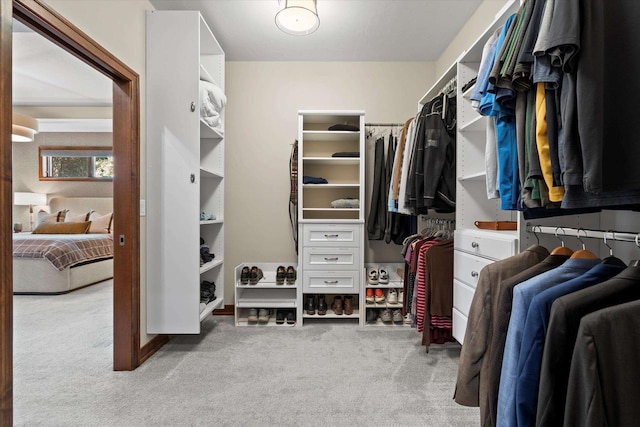 4021 Three Penny Ct, De Pere, WI 54115 - spacious closet featuring light colored carpet