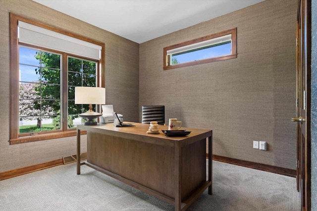 4021 Three Penny Ct, De Pere, WI 54115 - carpeted office space featuring baseboards