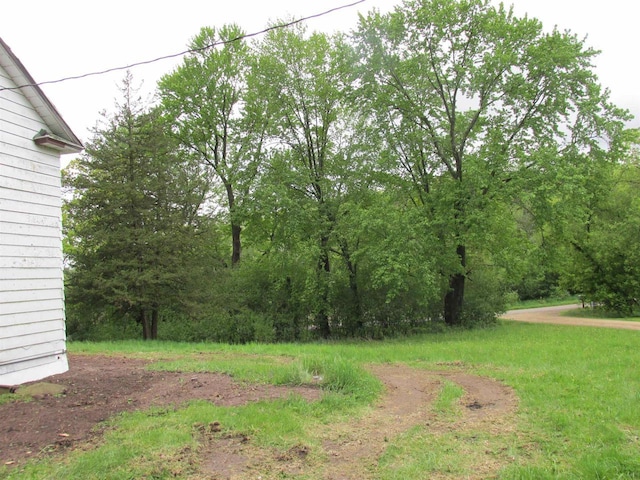 N4078 County Road A, Oxford, WI 53952 - view of yard