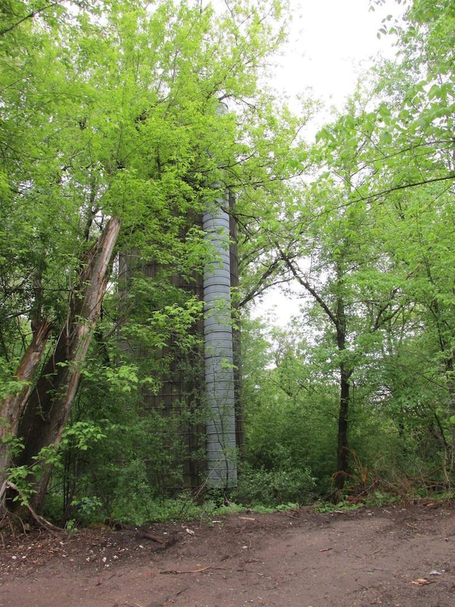 N4078 County Road A, Oxford, WI 53952 - view of tree filled area