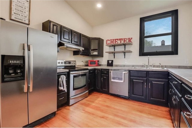 324 Douglas St, Chetek, WI 54728 - kitchen featuring appliances with stainless steel finishes, a sink, under cabinet range hood, light wood-style flooring, and vaulted ceiling