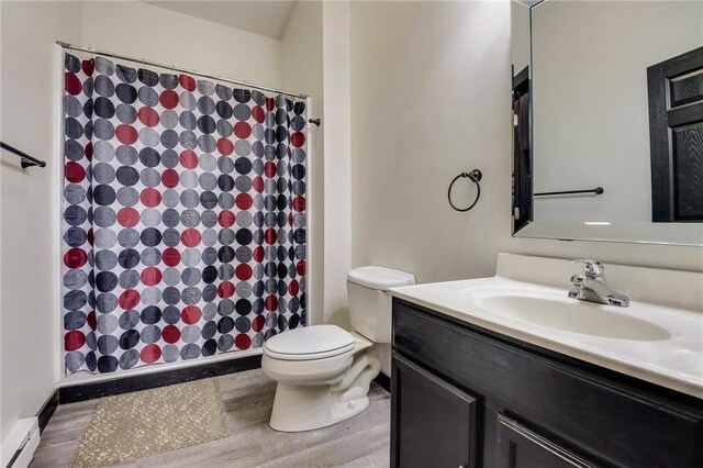324 Douglas St, Chetek, WI 54728 - bathroom featuring a baseboard radiator, vanity, toilet, wood finished floors, and a shower with curtain