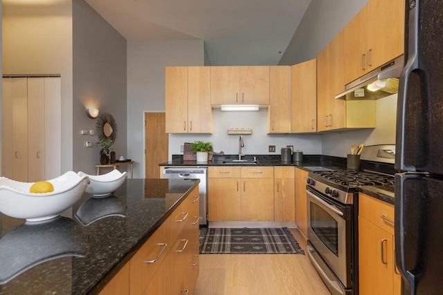 1924 N Hubbard St Unit 208, Milwaukee, WI 53212 - kitchen featuring stainless steel appliances, under cabinet range hood, a sink, dark stone counters, and wood finished floors