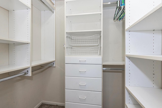 1924 N Hubbard St Unit 208, Milwaukee, WI 53212 - view of spacious closet