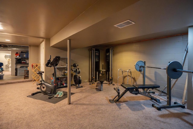 4781 N Idlewild Ave, Whitefish Bay, WI 53211 - exercise area with carpet flooring and concrete block wall