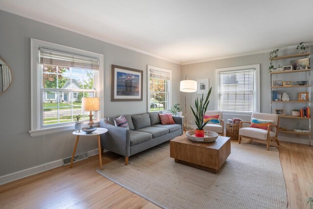 4781 N Idlewild Ave, Whitefish Bay, WI 53211 - living room featuring light wood-style flooring, ornamental molding, healthy amount of natural light, and baseboards