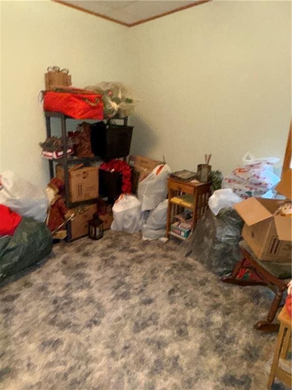 410-4101/2 W Elm St, Chippewa Falls, WI 54729 - view of storage