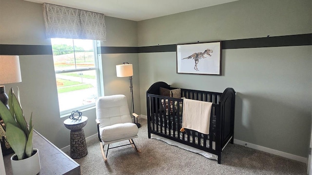 509 Oak Opening Dr, Stoughton, WI 53589 - bedroom featuring carpet floors, baseboards, and a nursery area