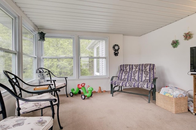 4100 15th St, Menominee, MI 49858 - sunroom / solarium featuring carpet floors