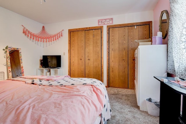 4100 15th St, Menominee, MI 49858 - bedroom with multiple closets and carpet